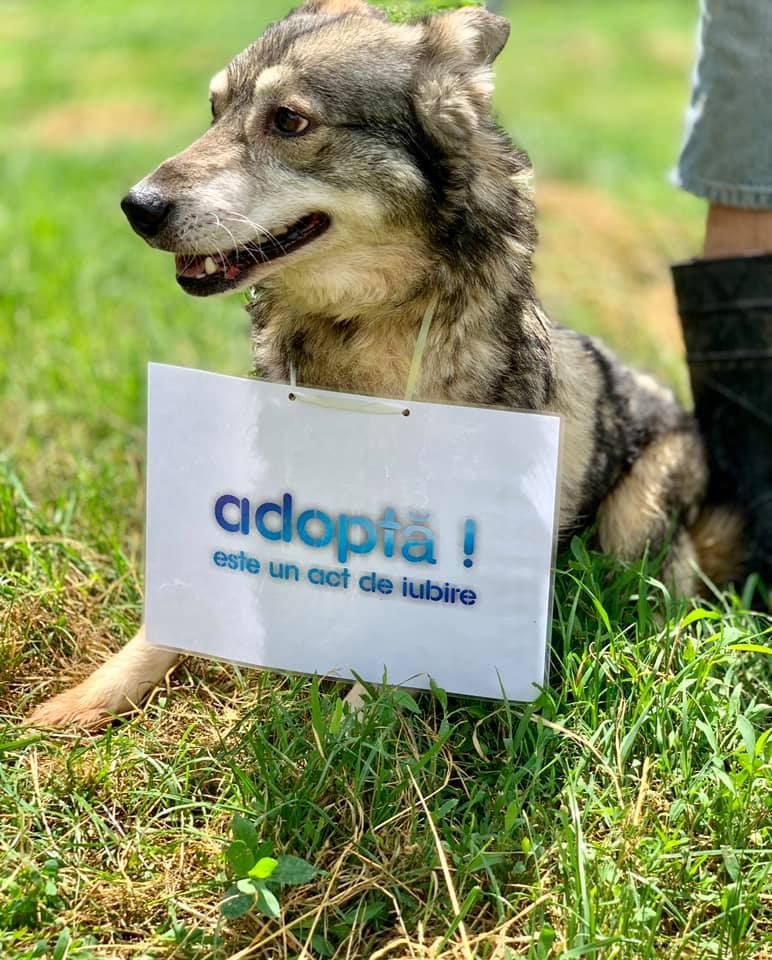 61465003_2210553905688231_986852561132716032_n