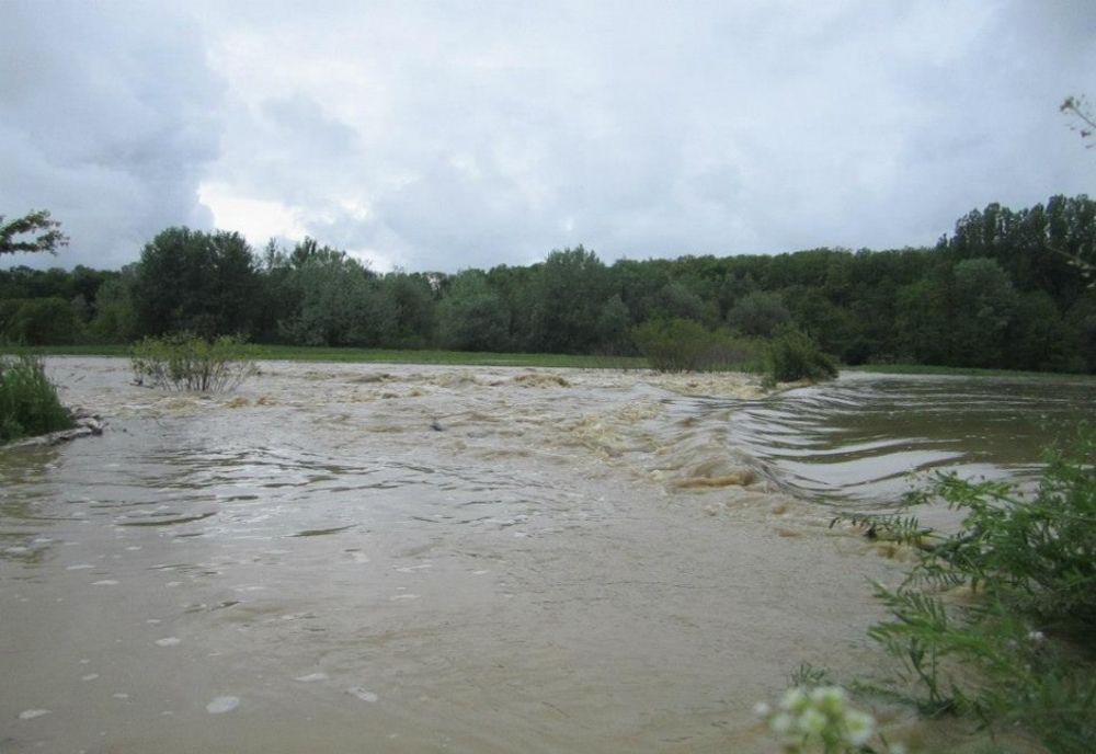 COD GALBEN DE INUNDAȚII ÎE RÂUL MOTRU, ÎN MEHEDINȚI
