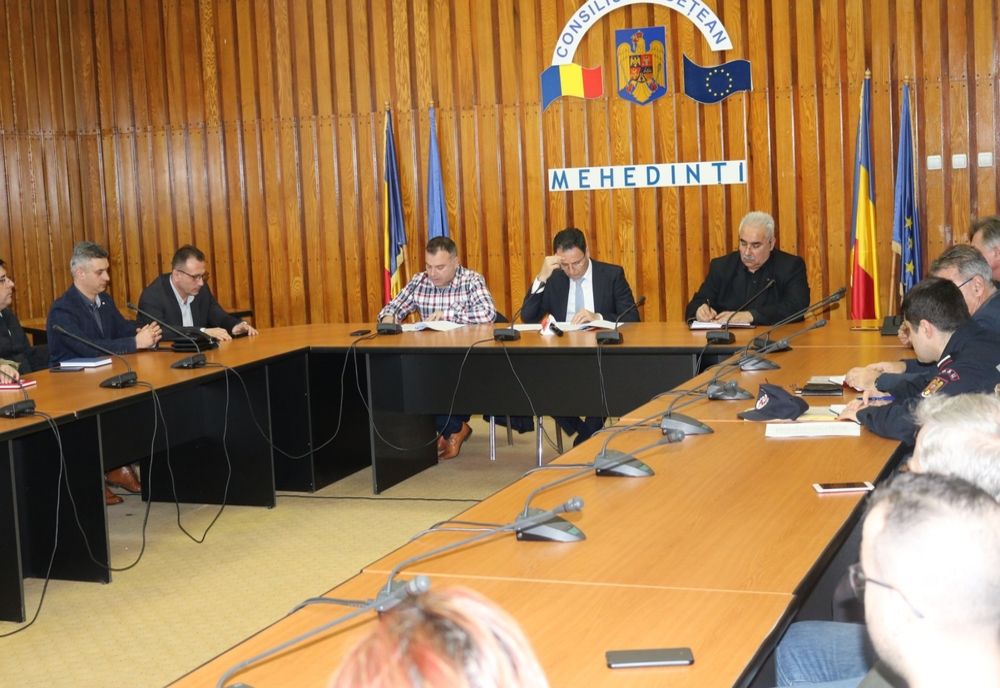 Un nou caz de pestă porcină în Mehedinți