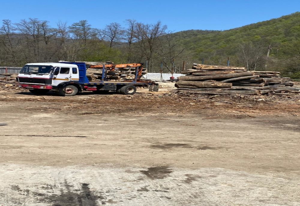 Amendă usturătoare pentru o firmă de exploatarea lemnului din Mehedinți