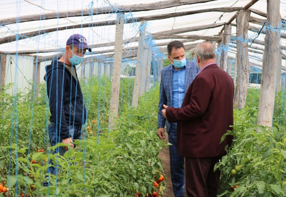 Interes mare din partea fermierilor pentru programul ”Tomata”