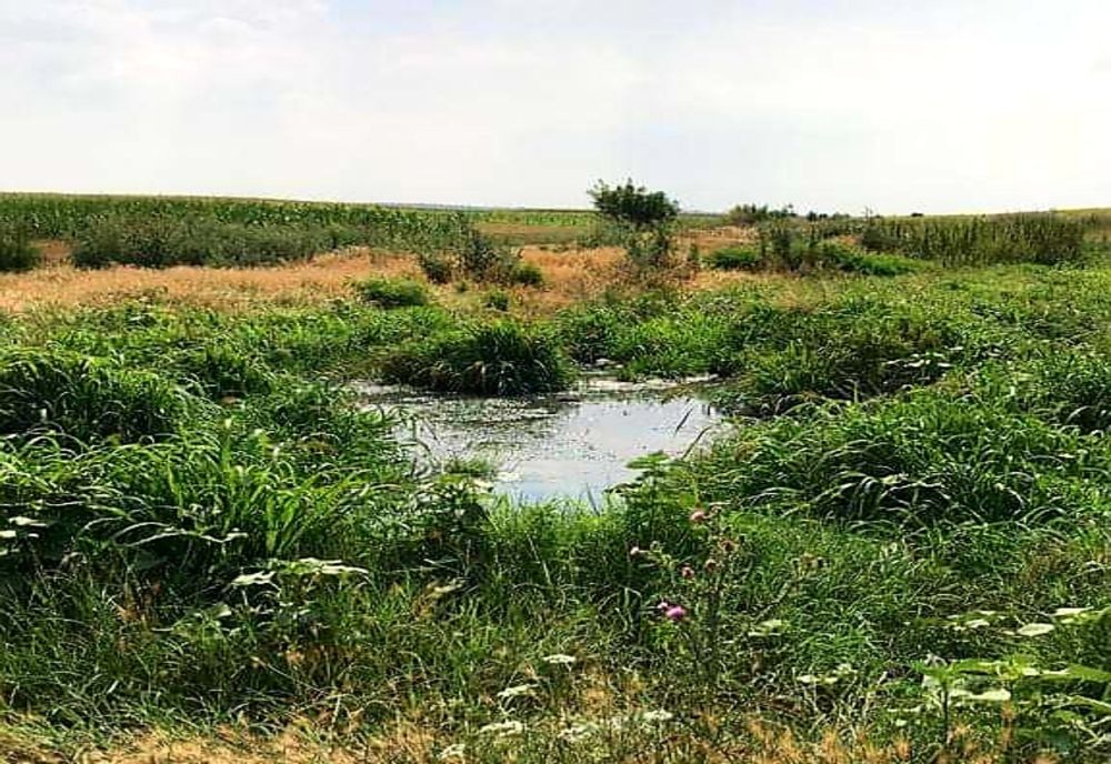 Canalizare cu "surprize". Haine și sticle abandonate de cetățeni, la Salcia