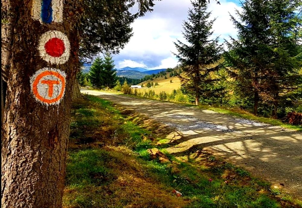 Străbătând România, de la Putna la Drobeta Turnu Severin