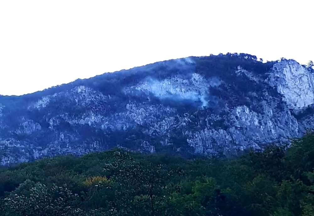 Incendiu în Parcul Național "Domogled -Valea Cernei"