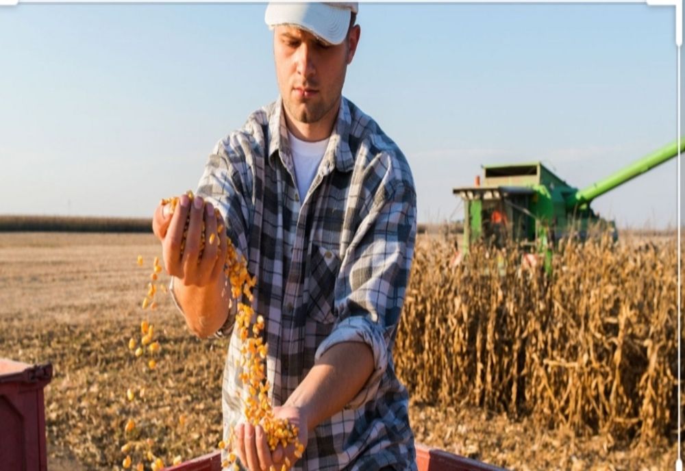 Ultima zi în care fermierii pot depune cererile pentru ajutor de stat  