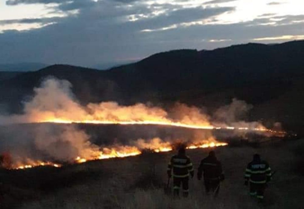 Zeci de intervenții de urgență în Mehedinți. Arderea vegetației uscate, sancționată