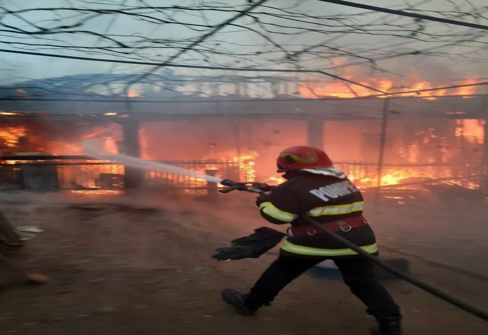 630 de incendii în Mehedinți, în 2020, la care au acționat echipele de pompieri