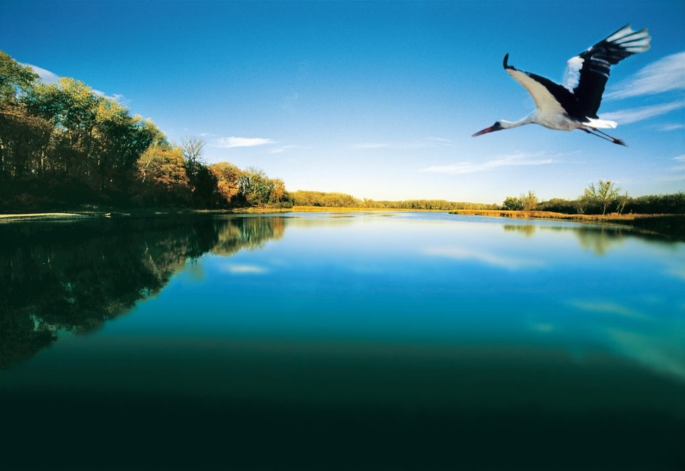 După educația financiară și educația juridică, elevii din ciclul primar si gimnazial vor studia mediul înconjurator