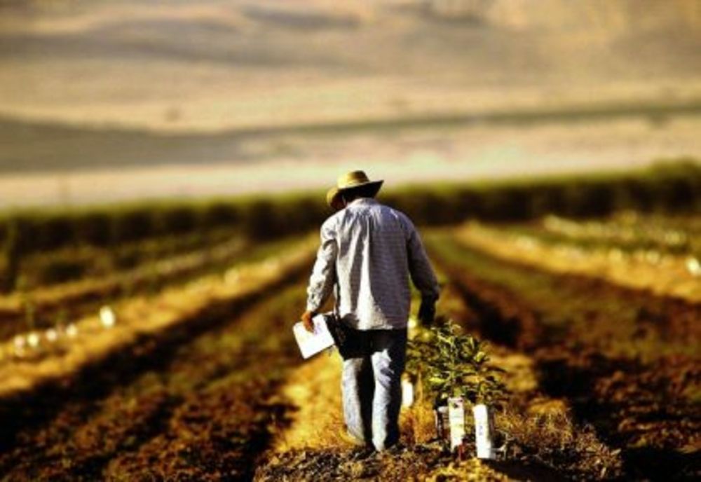 Președintele României a promulgat luni o lege care îi protejează pe producătorii români. Inițiator, un deputat vâlcean