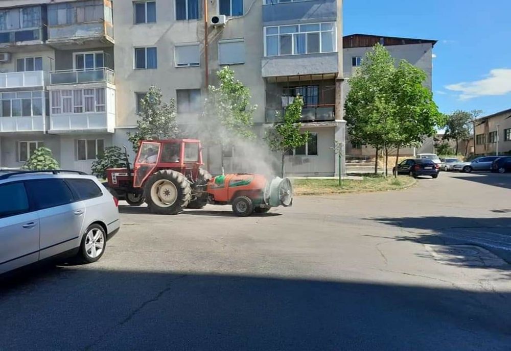 Acțiuni de combarere a insectelor dăunătoare în Severin