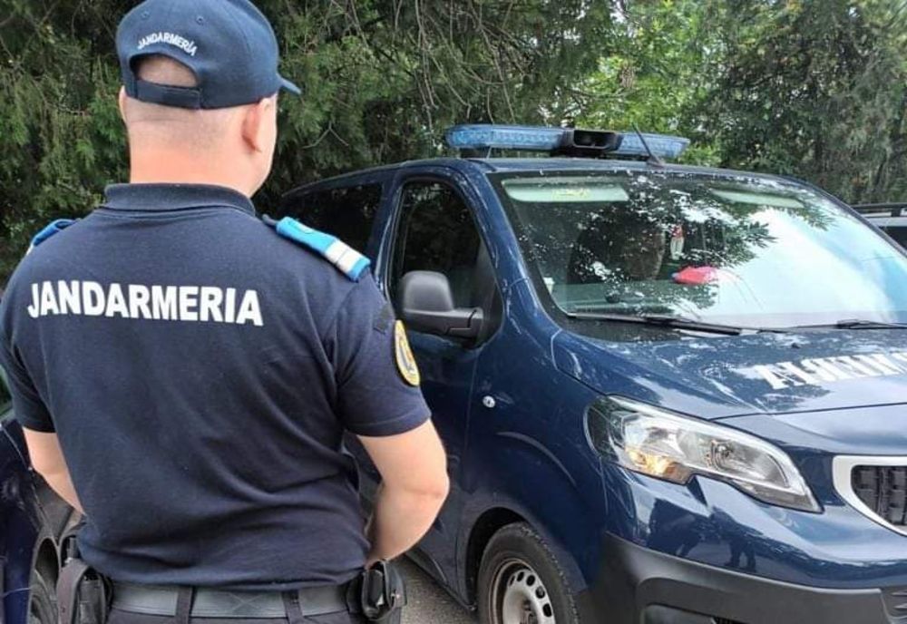 Un șarpe de un metru și jumătate, ascuns la motorul unui autoturism din Severin