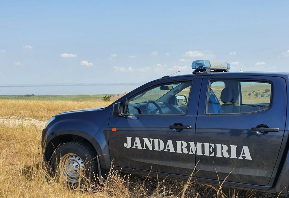 Un șarpe de peste un metru a fost scos de jandarmi din canalizarea unei gospodării