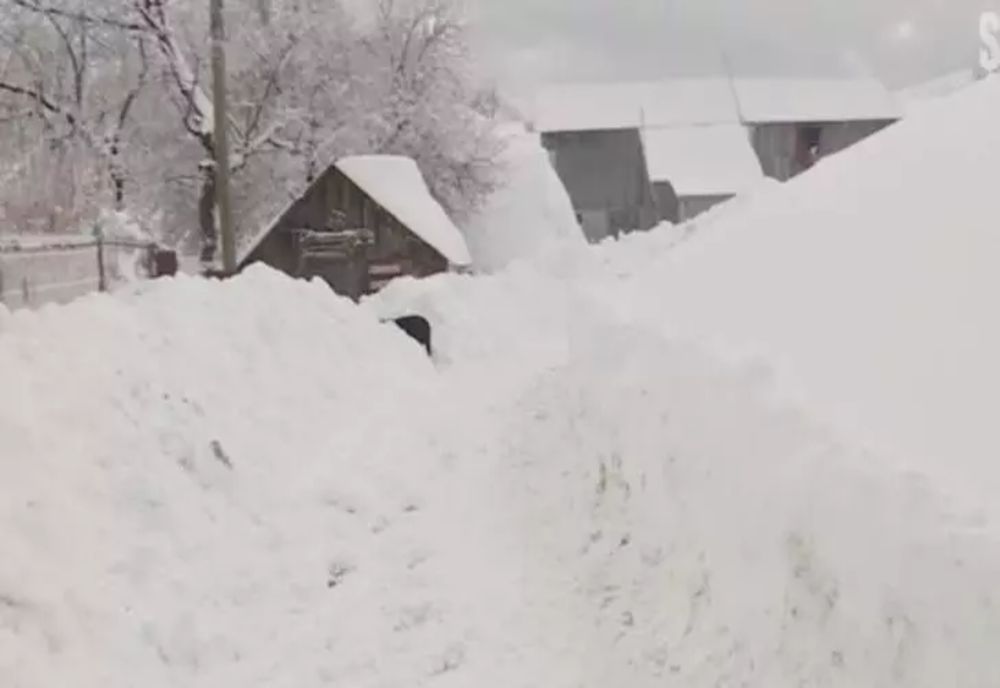 Atenționări de vreme severă: vânt puternic şi ninsoare