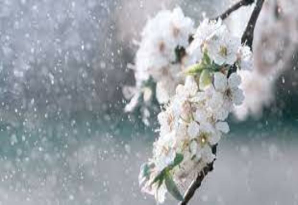 Prognoza meteo 13 martie. Ploile cuprind tot mai multe regiuni, iar temperaturile scad dramatic