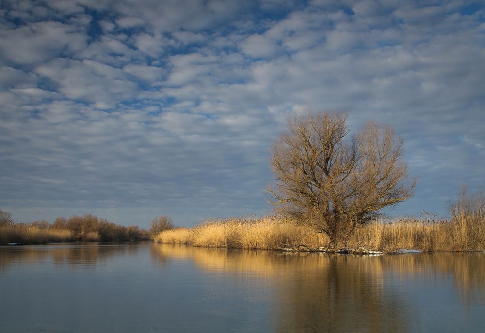 Numărul turiştilor din Deltă a scăzut cu circa 40% anul trecut faţă de 2022