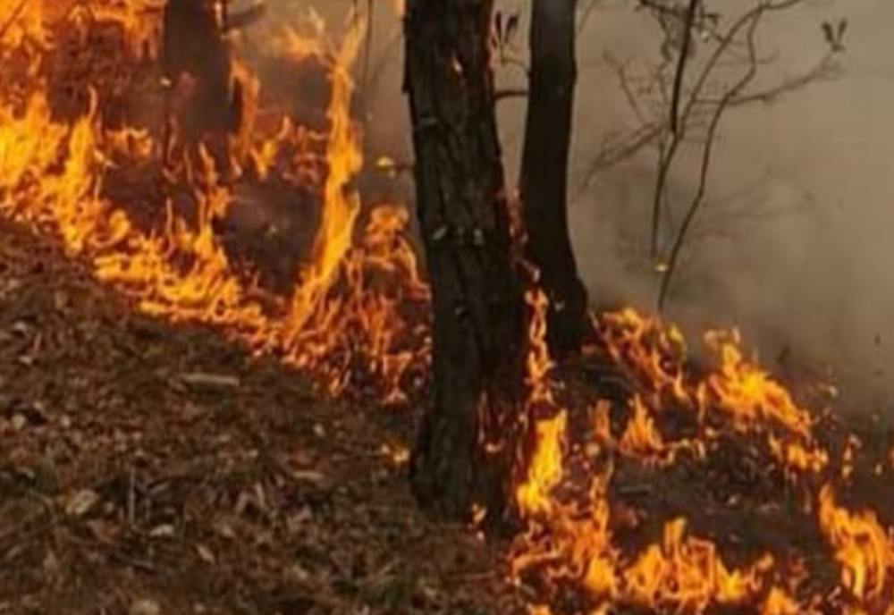 POMPIERII ISU MEHEDINȚI CONTINUĂ LUPTA CU INCENDIILE ÎN PARCUL NAȚIONAL PORȚILE DE FIER