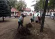 Au început lucrările de modernizare a “Parcului Nucilor”
