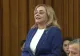 ODĂ CU APLAUZE PENTRU DRAGNEA ȘI DĂNCILĂ, LA MEHEDINȚI (video)
