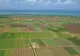 TERENURI AGRICOLE VÂNDUTE LA STRĂINI. DIRECȚIA AGRICOLĂ NU ARE O STATISTICĂ