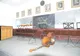 Sala de festivități a Liceului de Artă „I.Șt. Paulian” va fi reabilitată