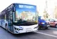 Tragedie la Stejaru. Un copil de șapte ani a murit lovit de autobuz