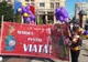 Mai sunt câteva zile până la Marşul pentru viaţă 2019