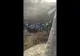 POLUARE PE DUNĂRE, ÎN ZONA INSULEI ȘIMIAN