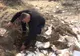 DOCUMENTE DIN ARHIVA PRIMĂRIEI, GĂSITE LA GROAPA DE GUNOI