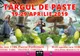Târgul de Paște se deschide în centrul Severinului în data de 19 aprilie