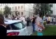 AUTORITĂȚILE DIN MEHEDINȚI SUNT ÎN ALERTĂ, DATORITĂ  FOCARELOR DE PESTĂ PORCINĂ DIN BULGARIA