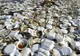 Severinul vrea să interzică farfuriile și paharele de plastic la evenimentele desfășurate pe domeniul public