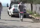 FOCARUL DE PESTĂ PORCINĂ DIN MEHEDINȚI A FOST LICHIDAT, RESTRICȚIILE RĂMÂN