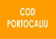 Cod Portocaliu în Mehedinți. Pompierii pregătiți să intervină în sprijinul populației 
