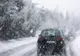 Ninge abundent pe DN 73, zona Rucăr- Bran