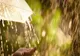 Avertizare de ploi torențiale în țară