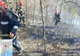 Zeci de pompieri mehedințeni au intervenit luni în zona Orșova-Ilovița, unde s- a descoperit că arde pădurea