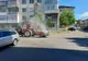 Acțiuni de combarere a insectelor dăunătoare în Severin