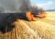 10 hectare de vegetație în  flăcări. Unde se întâmplă