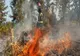 Doi pompieri din Mehedinți la incendiile din Franța
