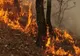 POMPIERII ISU MEHEDINȚI CONTINUĂ LUPTA CU INCENDIILE ÎN PARCUL NAȚIONAL PORȚILE DE FIER