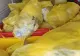 Amendă de 30.000 de lei în Mehedinți pentru transportul ilegal de deșeuri medicale
