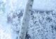 Cele mai scăzute temperaturi din ultimii 60 de ani, în această dimineață. -6,5 grade Celsius în județul Vâlcea  
